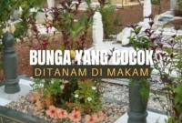 Bunga yang Cocok Ditanam di Makam