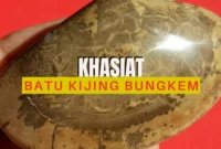 Khasiat Batu Kijing Bungkem