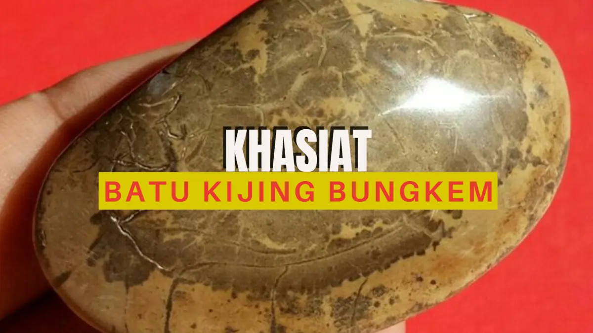 Khasiat Batu Kijing Bungkem