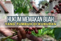 Hukum Memakan Buah yang Tumbuh di Kuburan