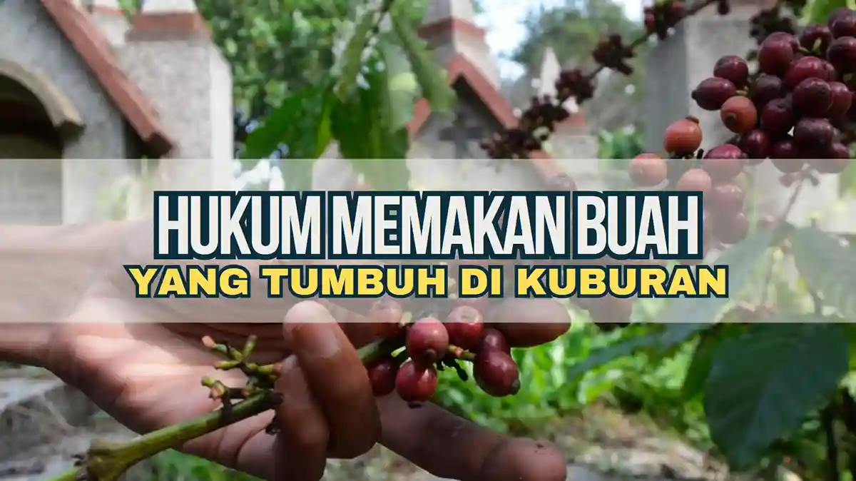 Hukum Memakan Buah yang Tumbuh di Kuburan